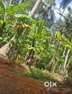 13 cent property sale kulathoor kadakulam locality