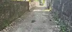 7 CENTS(OLDHOUSE)PRIME RESIDENTIAL PLOT FOR SALE NEAR VAZHUTHACAUD