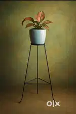 Indoor and outdoor pot stand