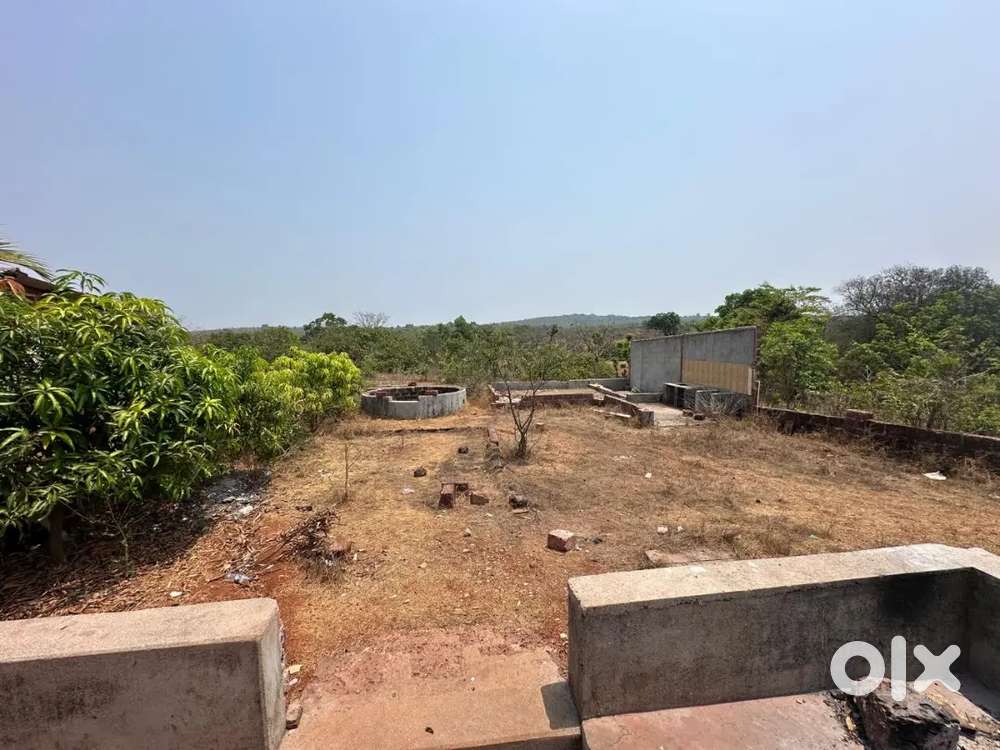 It's NA PLOTES / in this property well