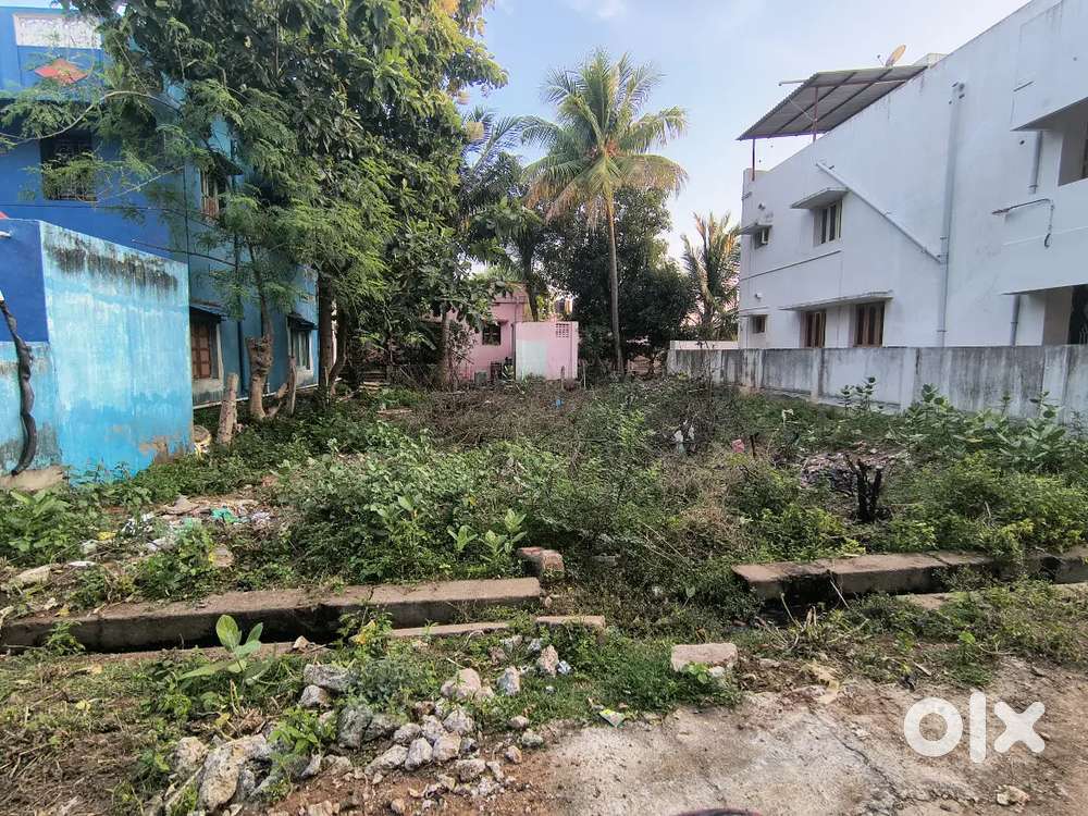 North facing plot in Thuvakudi