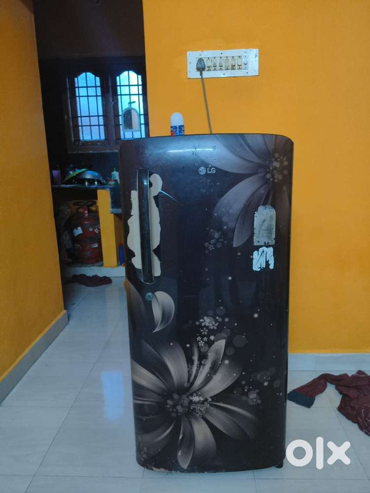 Fridge for bachelor or family