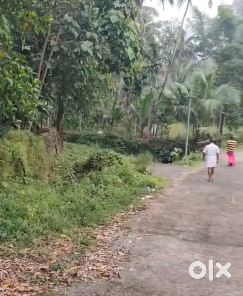 Kothamangalam vadattupara 2 acre 80 cent for sale