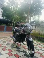 Honda shine 125 2025 January model for sale.Grey colour,neat condition