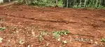 10 cent plot for sale in palakottuvayal near medicalcollege calicut