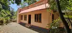Pullad pattakala near 13 cent house