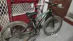 Cycle (Roadkiller)