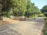Commercial land 1.60 acres near Kanjikuzhy 7.5 lakh/cent
