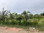 Premium Corner Plot near Annavaram, Yerrakoneru