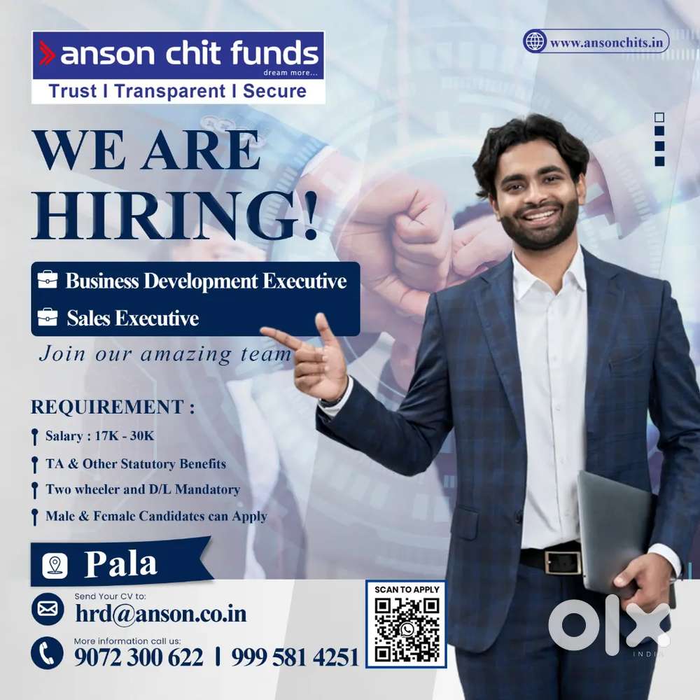 BUSINESS DEVELOPMENT EXECUTIVE