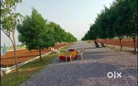 Budampadu CRDA approved plots for sale. Bank Loan Facility available