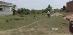 Plot | Land For Sale in Anuppur at Cheap Price Near Collectrate