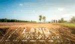 1 Bigha plot for sale Road touch, add- Vill- Holakan PO Bakola
