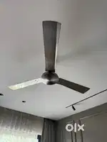 Havells ceiling fan