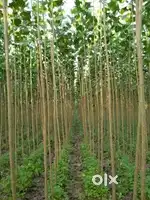 408 gaz urgent plot for sale in Saharanpur in reasonable price