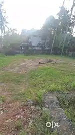 Alathara 43 cent plot for sale