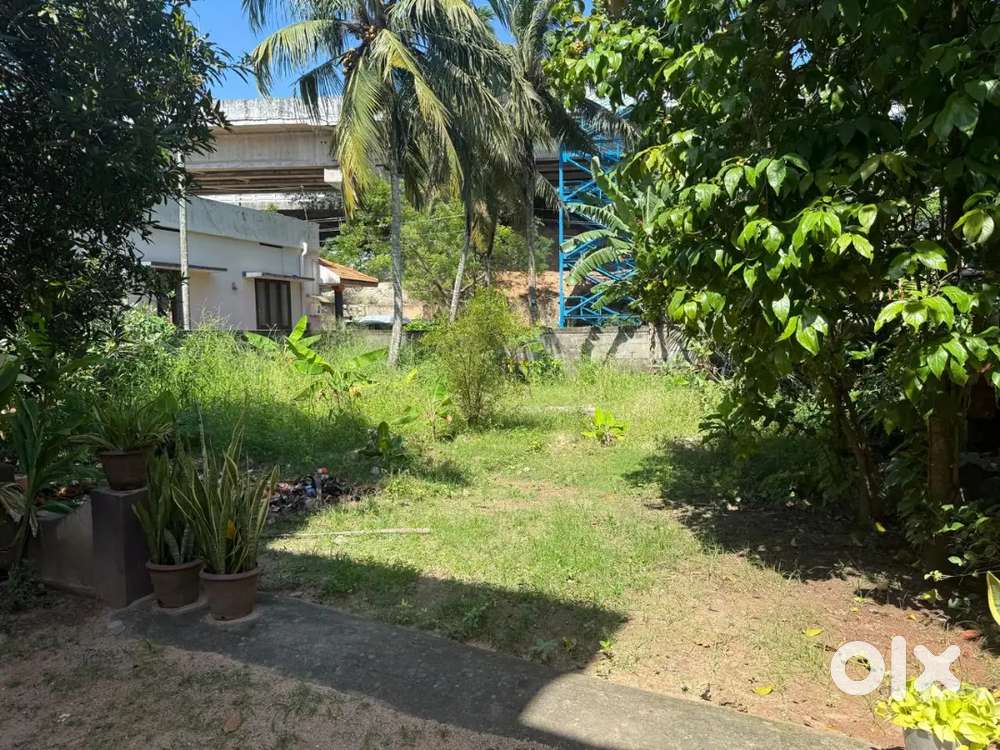 5 cent plot near sree murugan temple chackai for rent.