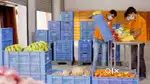 Wanted m/ f counter staffs/ packing staff