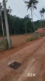 നാല് സെൻറ് മൊത്തത്തിൽ 8 അരലക്ഷം രൂപ