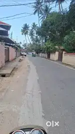 8.5 cent plot for sale chempakassery palkulangara