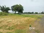 Our colony will have road facility and is a developed area.