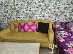 Two sets of sofas