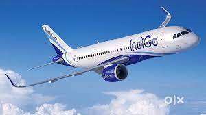 Recruitment in Airport job .  Urgent Hirings ground staff indigo airli