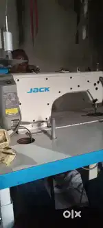 Shilai jack hai