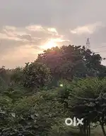 Muje part time job ki jrurt hai moring main
