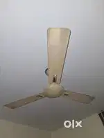 Ceiling Fan Crompton