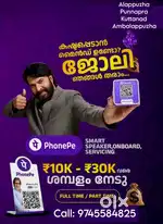 Phonepe DFSO, Freelance