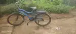 Prince cycle