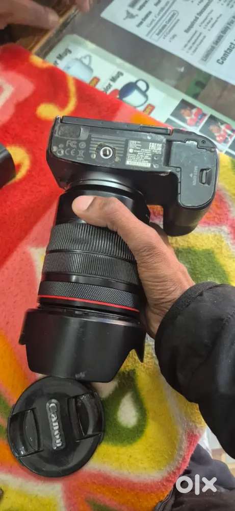 Canon r camera
