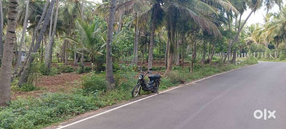 (FARM LAND, COCONUT LAND, MANGO LAND,READY TO YIELD AND HOLIDAY RESORT