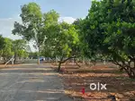 Land for Sale near Auroville