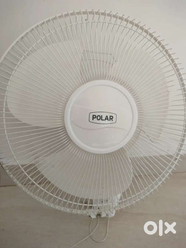 Polar wall mount fan
