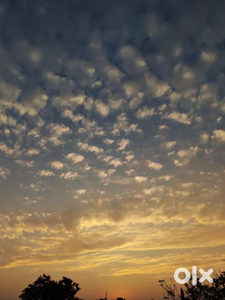 3 BHK FULLY FURNISHED FLAT