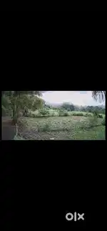 Farm house caretaker job only for couples or family