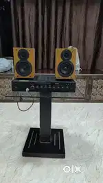 Amliper and speaker