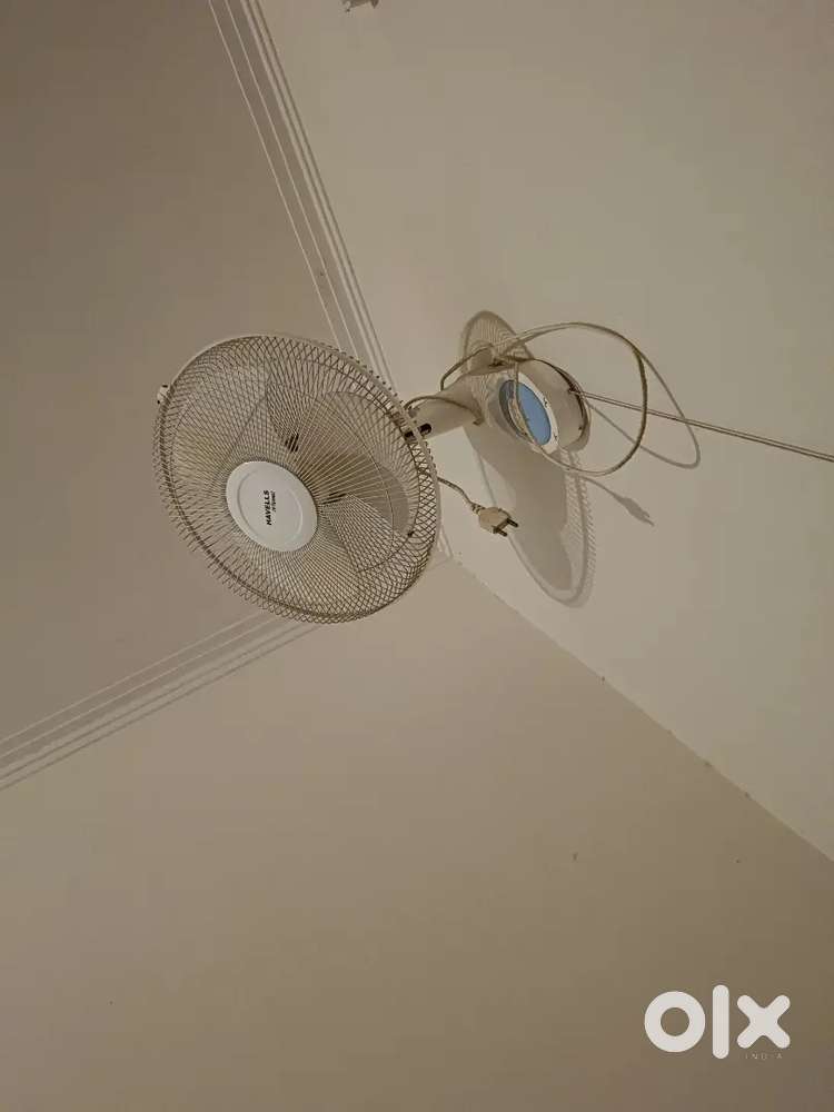 Wall fan havells
