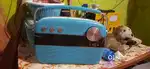 saregama carvaan radio sale karna hai