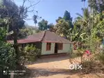 52 Cent Scenic Plot with House for Sale in Kenichira  Wayanad