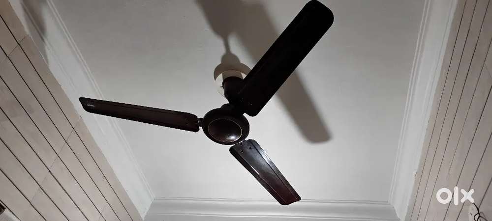 Ceiling Fan Excellent Condition