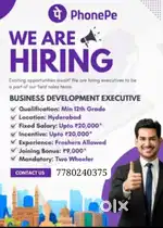 Sales executive