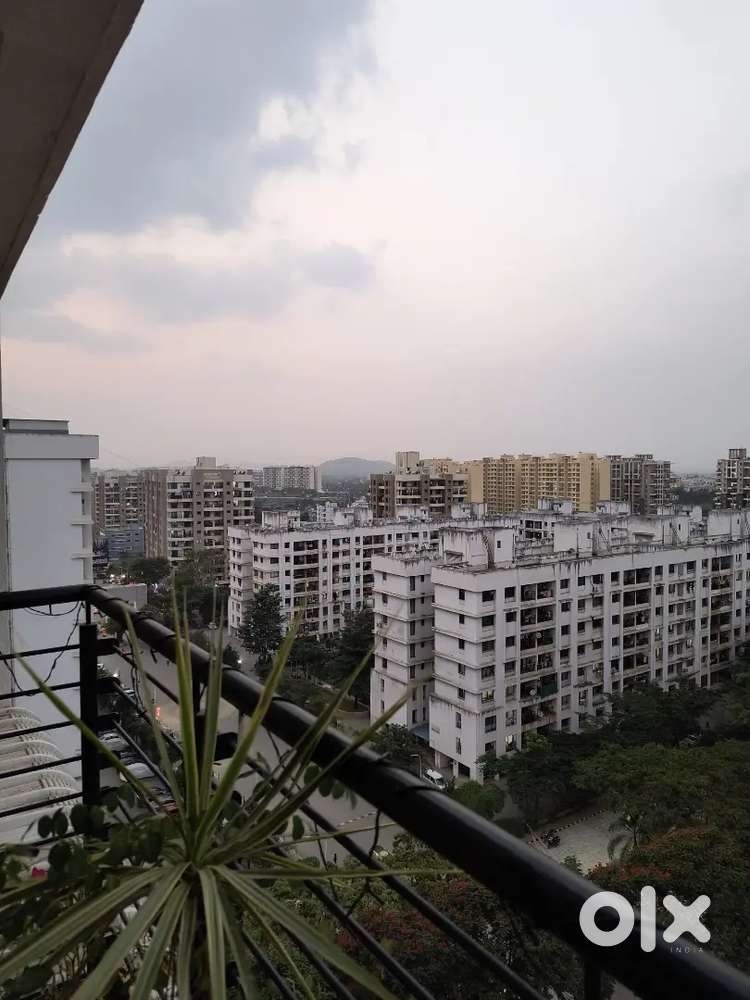 2 bhk Ivy apartments Wagholi Rent