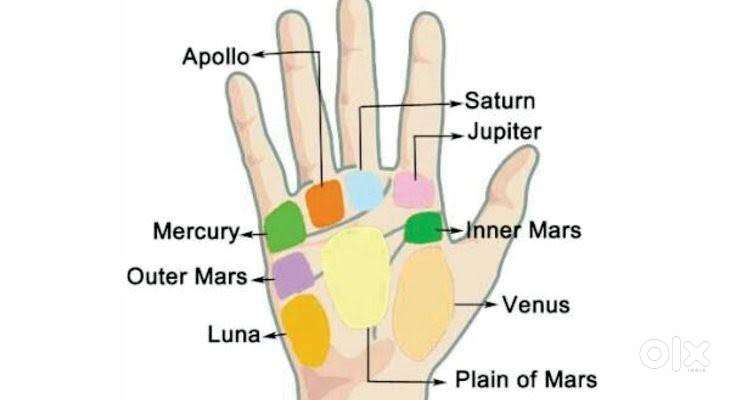 Astrology And Palmistry