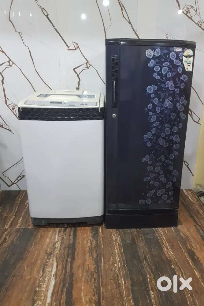 Haier Flower model refrigerator and washing machine
