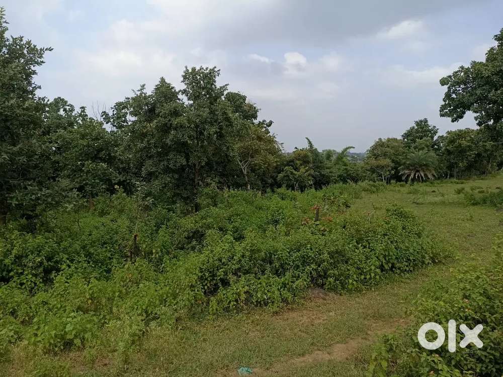 Prefact Location for farmhouse