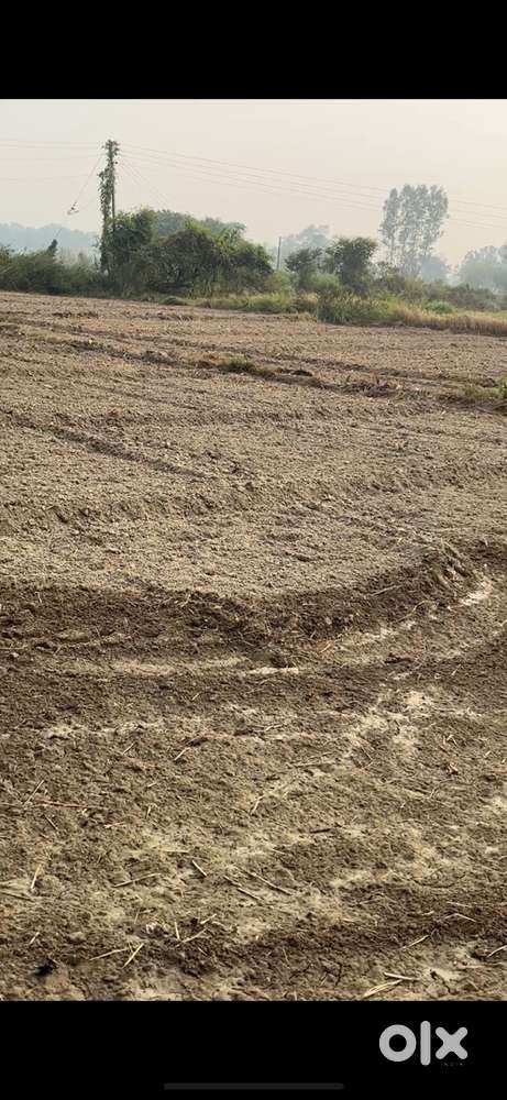 Nagarpalika 4length se 2km door hai