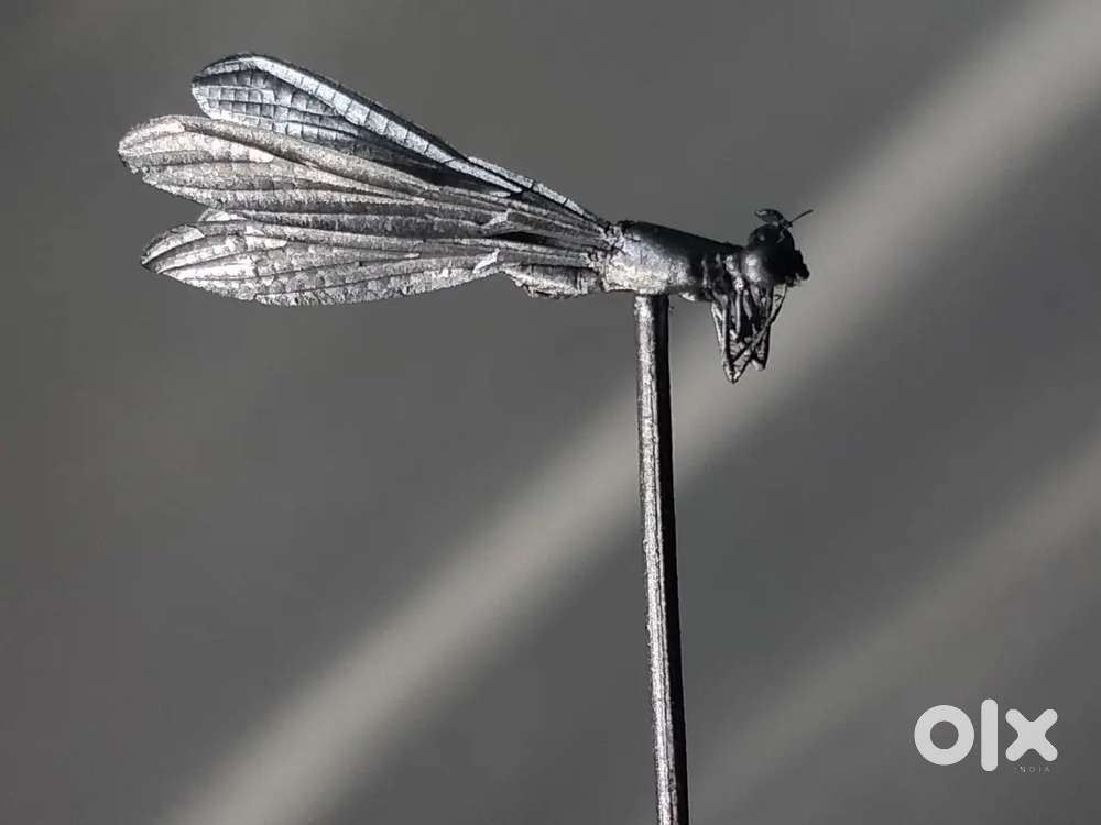 A antique showpiece item.you can buy in less also